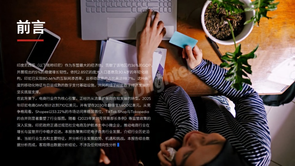 2026印度尼西亚电子商务行业报告 