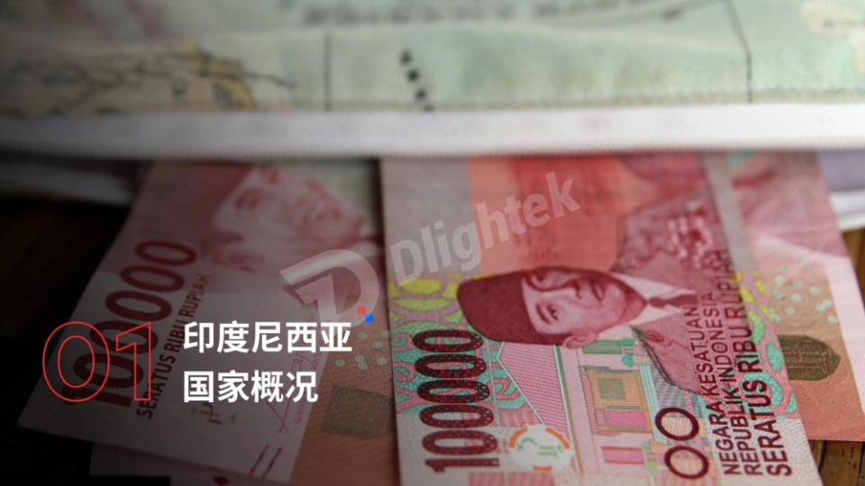 2026印度尼西亚电子商务行业报告 