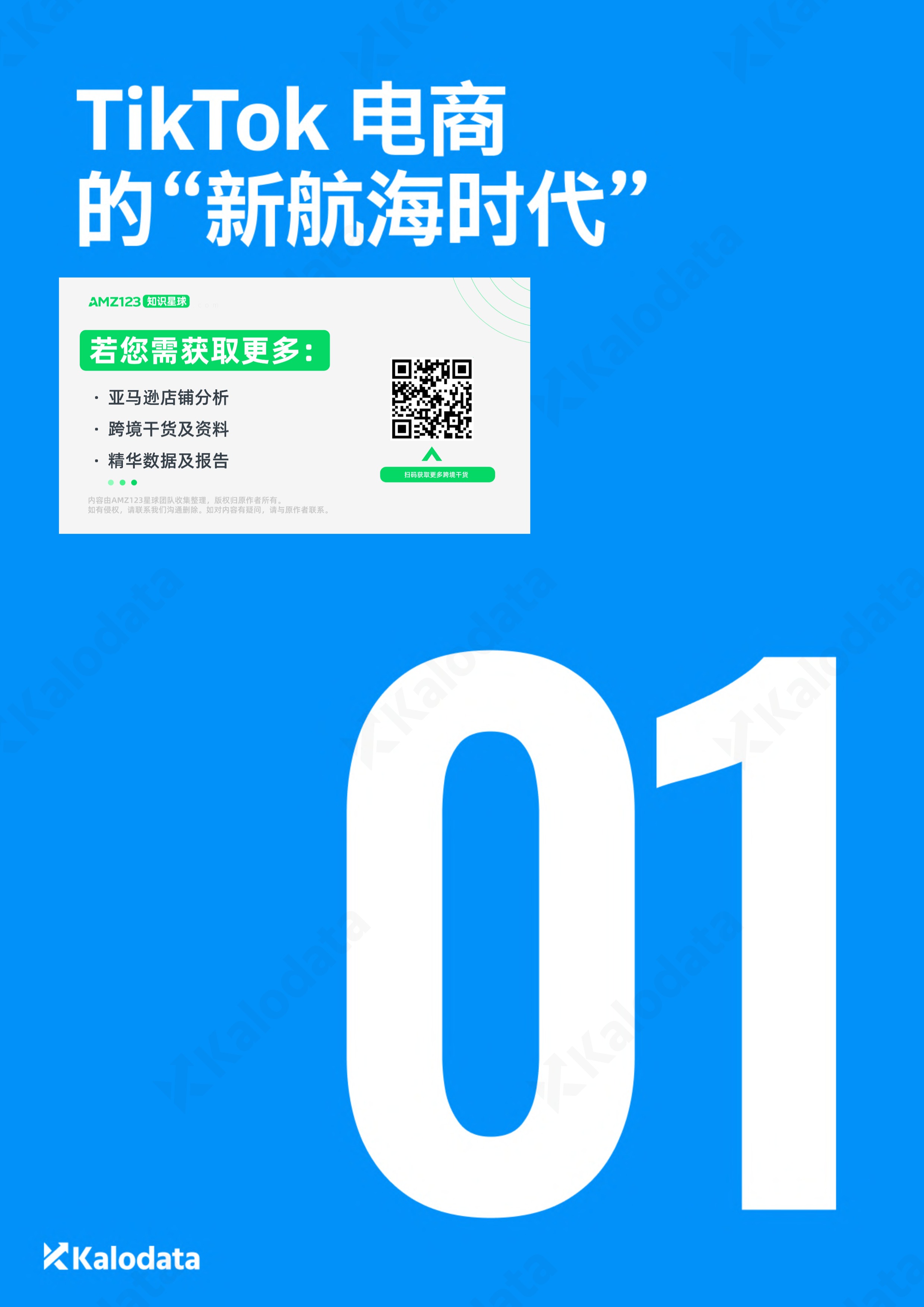 2026TikTok电商白皮书（上） 