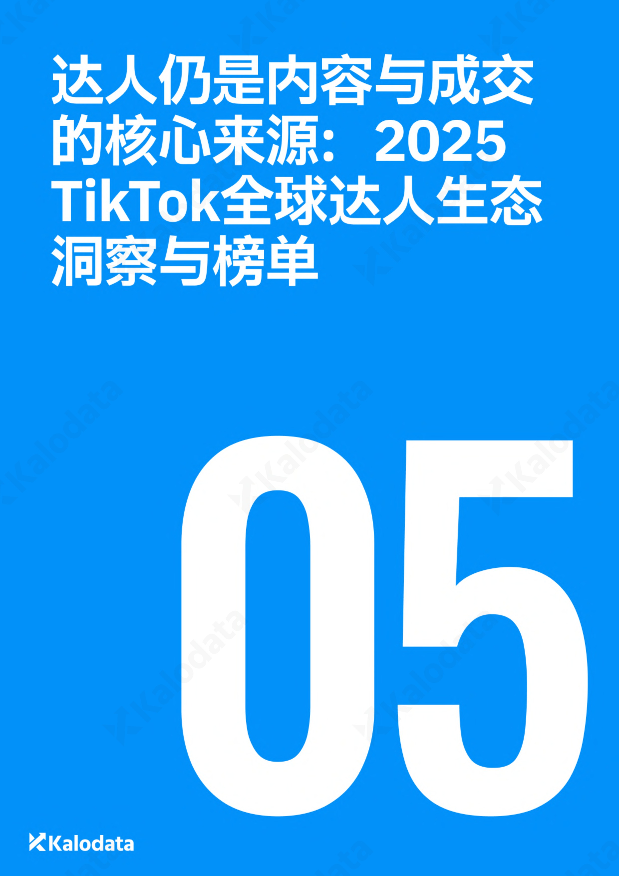 2026TikTok电商白皮书（下） 