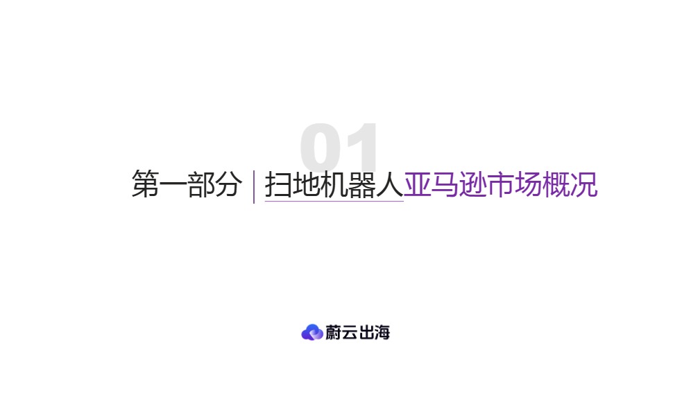 扫地机器人美国市场年度研报 