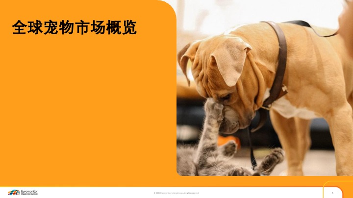 2025年TikTok生态发展白皮书 