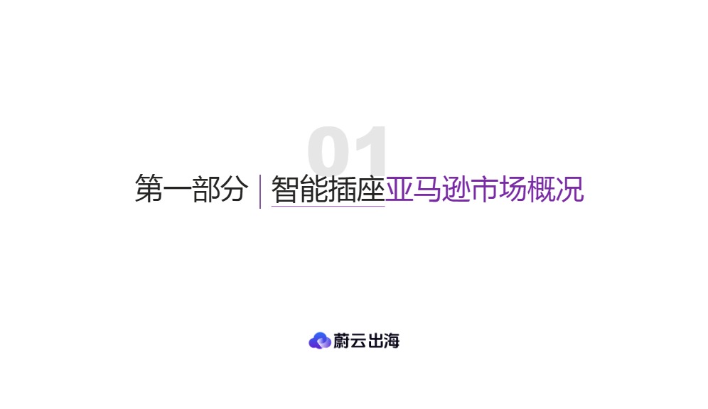 智能插座美国市场年度研报 