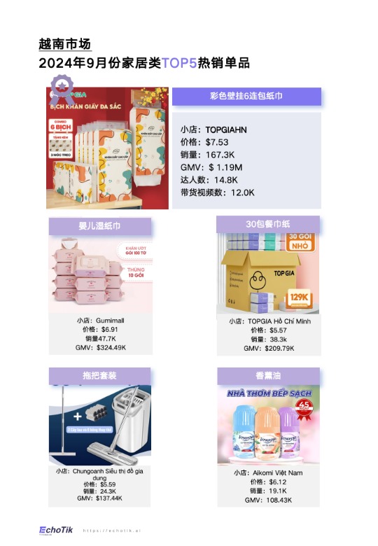 TikTok Shop家居类报告东南亚 