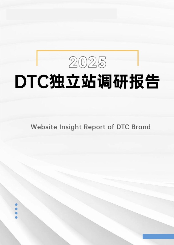 2025DTC独立站调研报告 