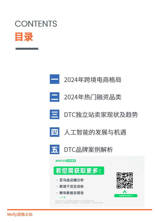 2025DTC独立站调研报告 