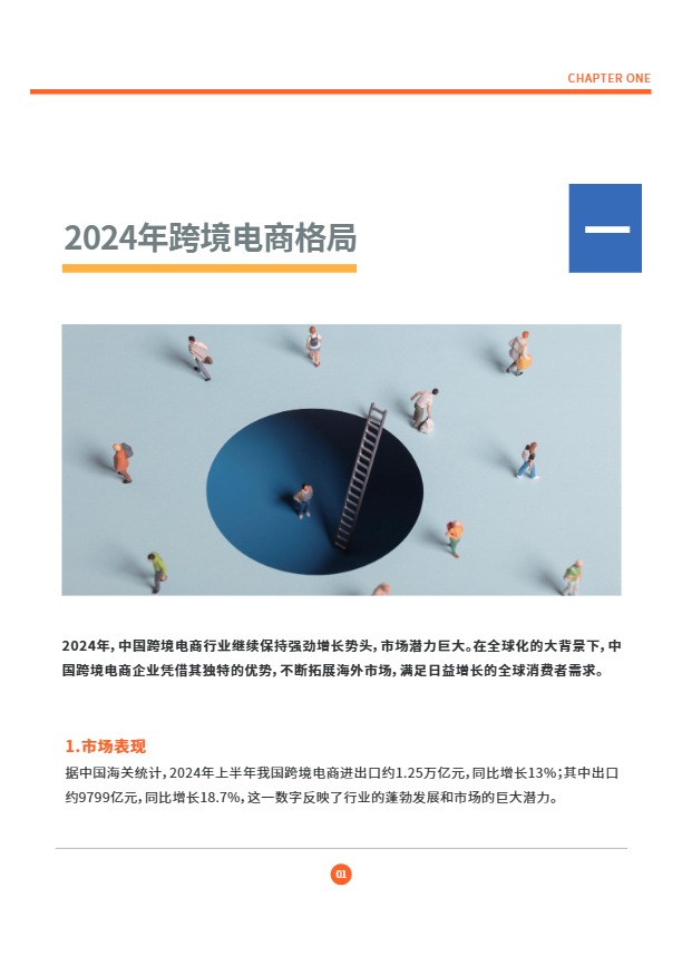 2025DTC独立站调研报告 