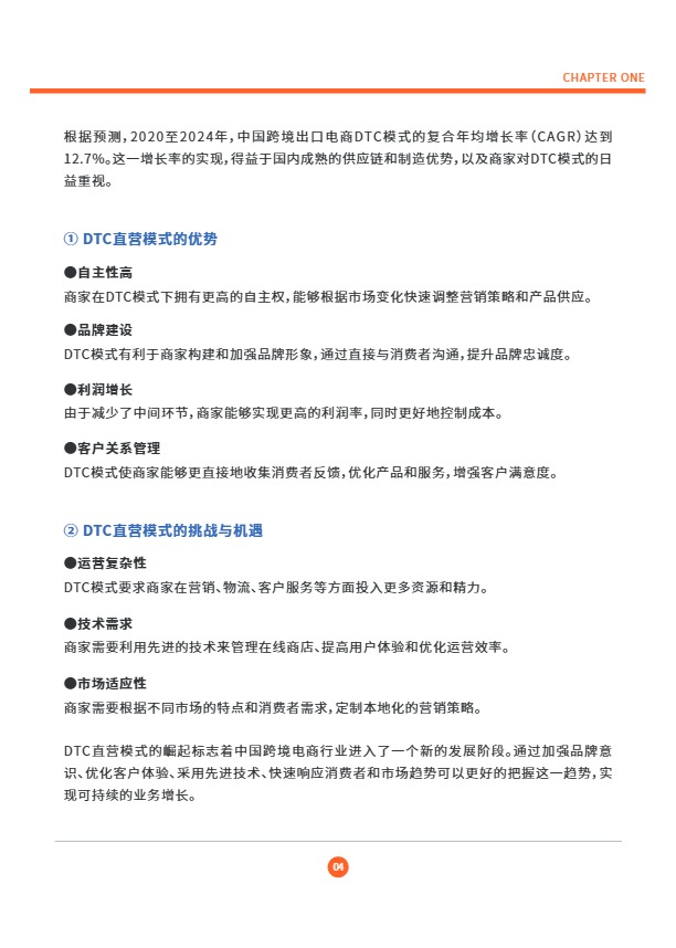 2025DTC独立站调研报告 