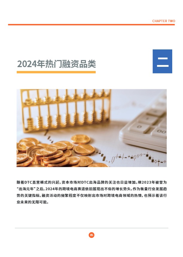 2025DTC独立站调研报告 
