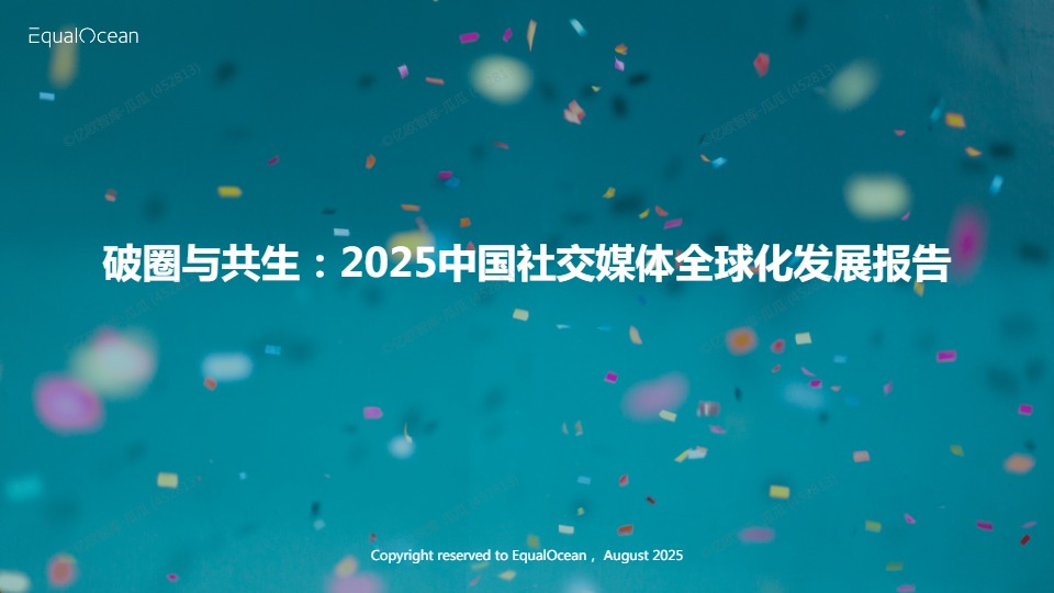 2025中国社交媒体全球化发展报告 