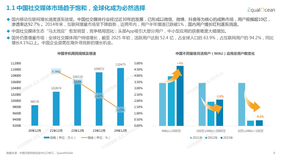 2025中国社交媒体全球化发展报告 