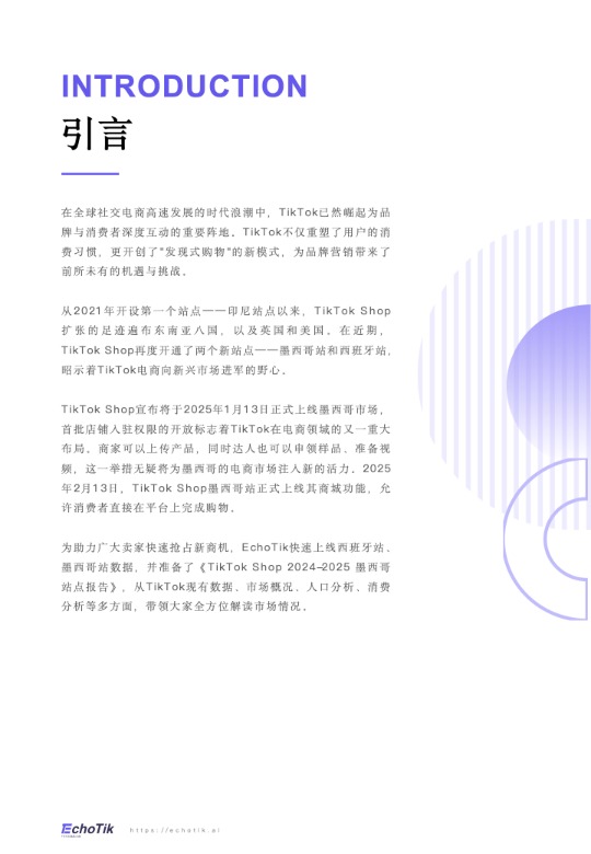 TikTok Shop  墨西哥市场分析报告 