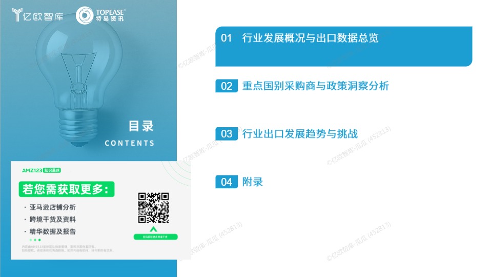 中国照明行业出海国别机会洞察报告 