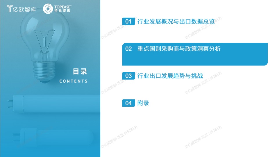 中国照明行业出海国别机会洞察报告 
