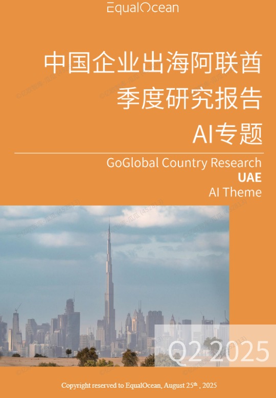 2025中国AI企业出海系列研究：阿联酋篇 