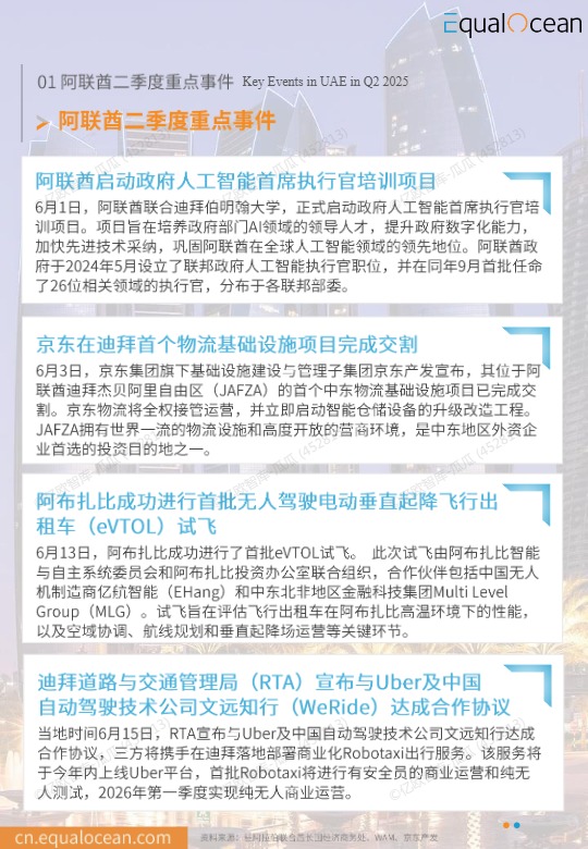 《2025中国AI企业出海系列研究：阿联酋篇》 