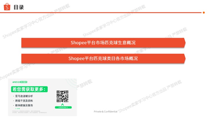 《2026年匹克球选品参考》 