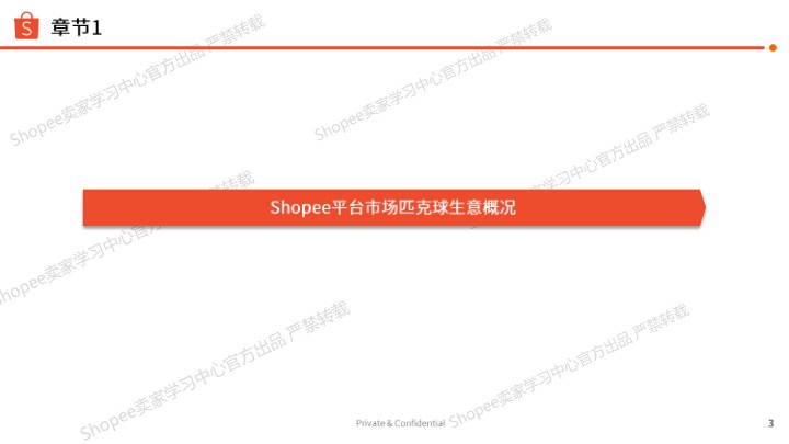 《2026年匹克球选品参考》 