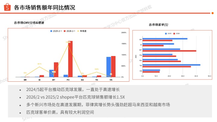 《2026年匹克球选品参考》 