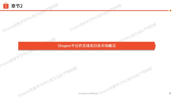 《2026年匹克球选品参考》 