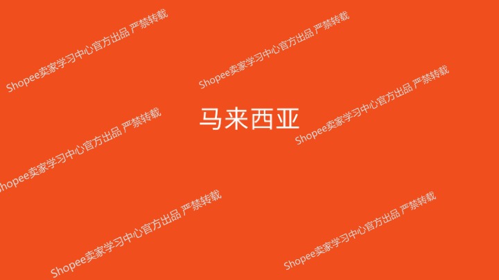 《2026年匹克球选品参考》 