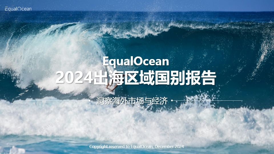 2024出海区域国别报告 