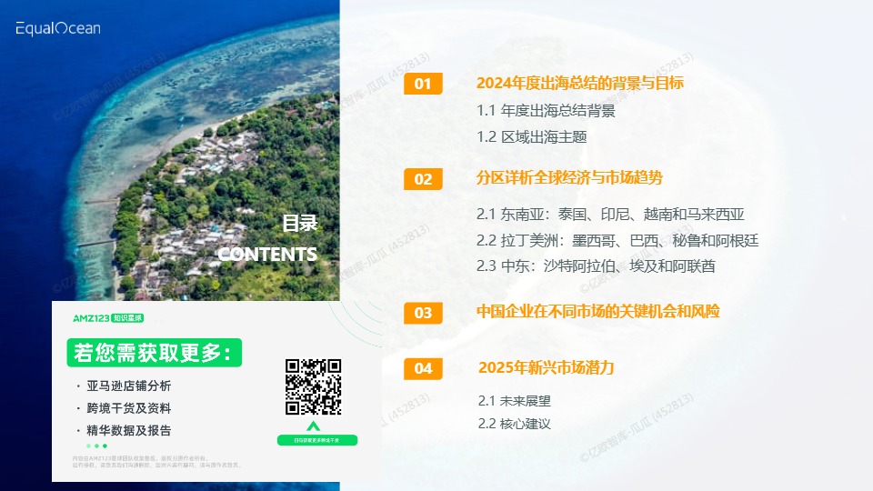 2024出海区域国别报告 