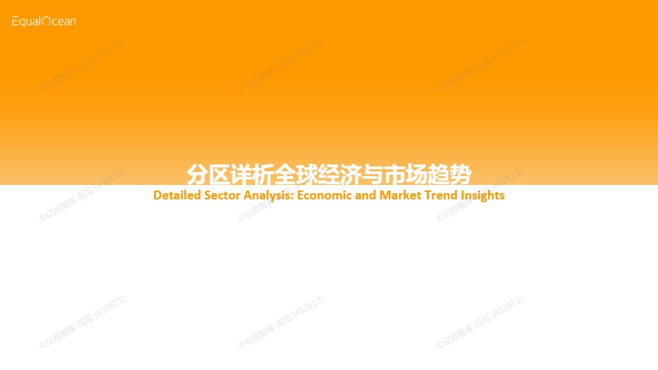2024出海区域国别报告 
