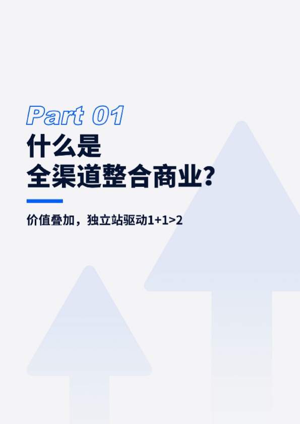 独立站驱动全渠道整合新增长报告 