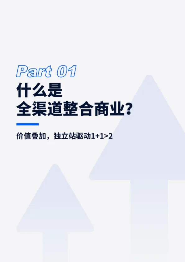 独立站驱动全渠道整合新增长报告 