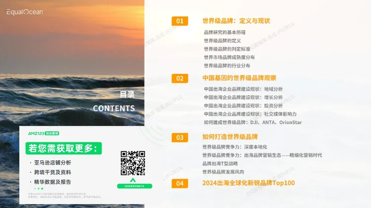 2024中国出海企业品牌战略报告 