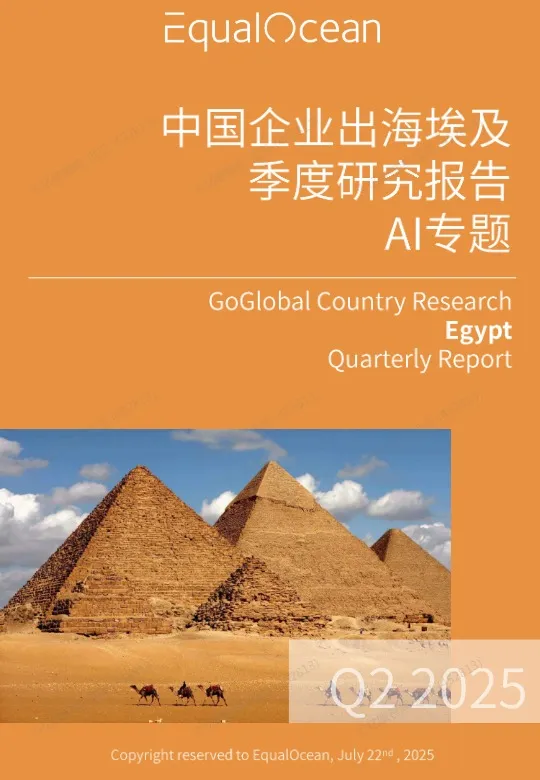 中国企业出海埃及季度研究报告 