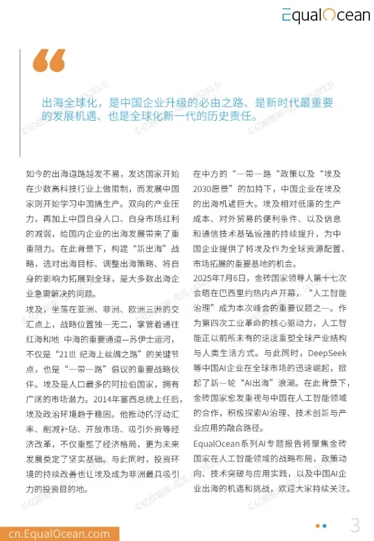 中国企业出海埃及季度研究报告 