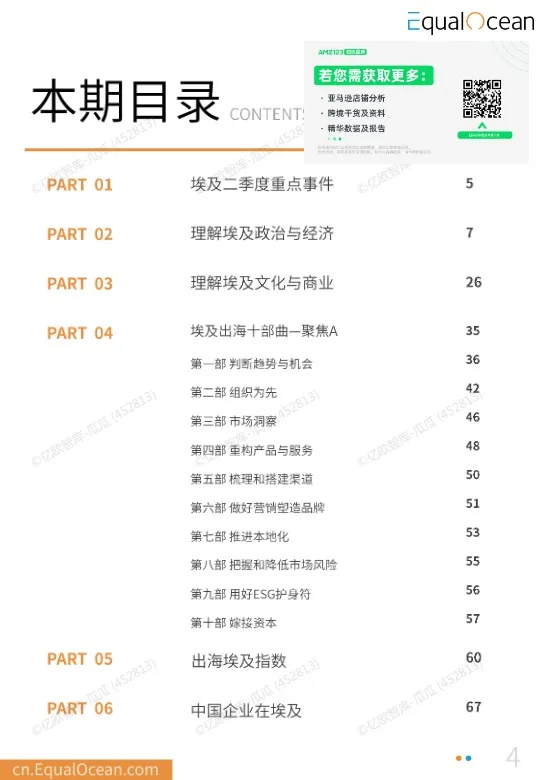 中国企业出海埃及季度研究报告 