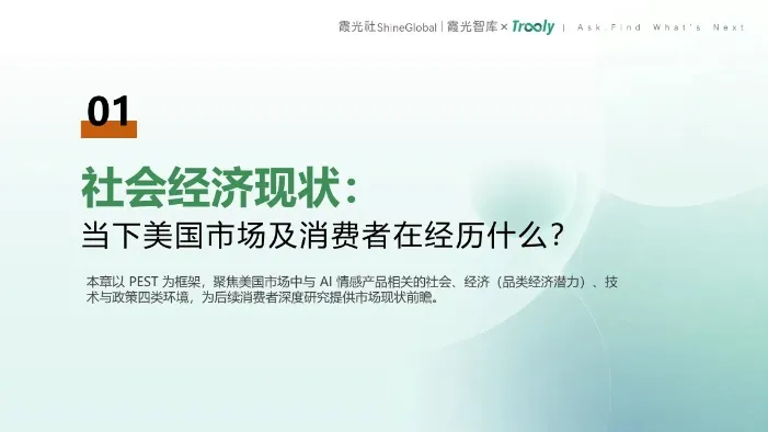 《美国 AI 情感产品用户洞察报告》PDF 