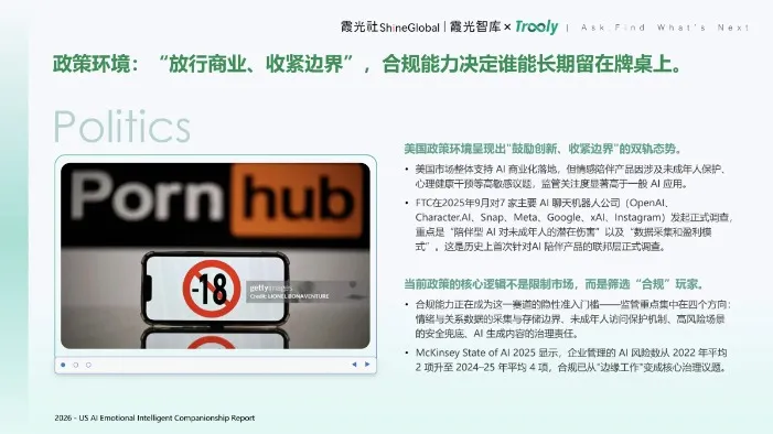 《美国 AI 情感产品用户洞察报告》PDF下载 