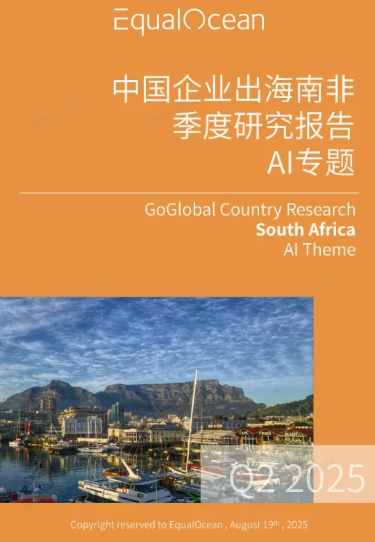 2025中国AI企业出海系列研究：南非篇 