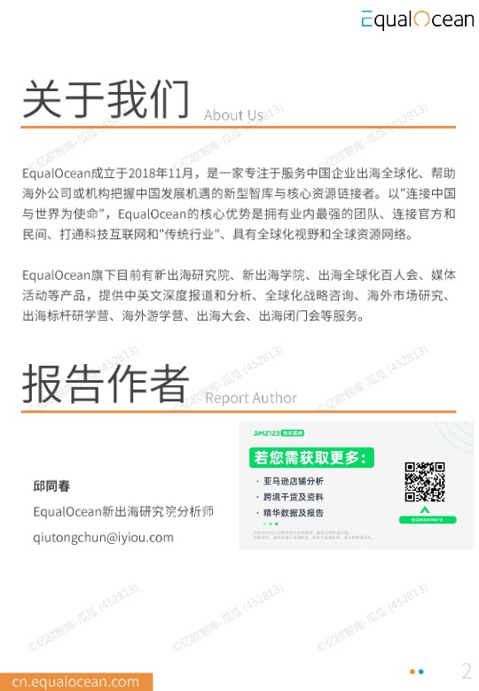 2025中国AI企业出海系列研究：南非篇 