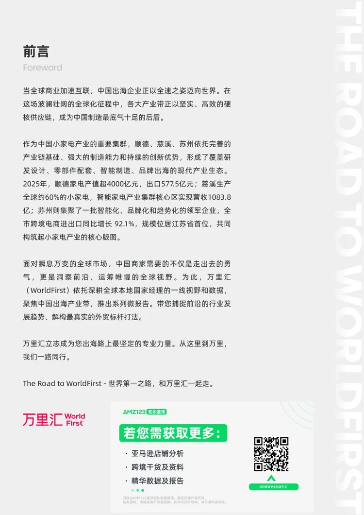 中国出海产业带洞察系列报告-中国小家电产业带 