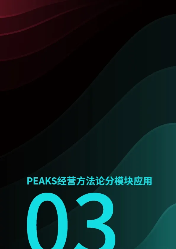 《TikTok美区出海方法论》 