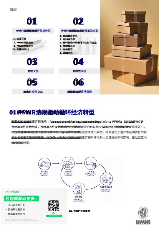 2026欧盟PPWR包装合规白皮书 