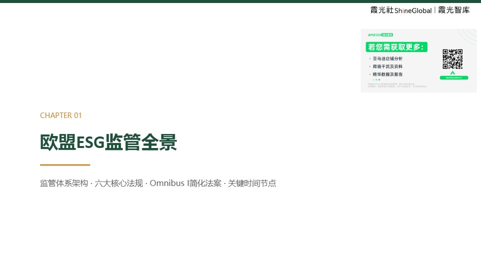 中国企业出海欧洲 ESG 合规报告 