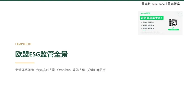 中国企业出海欧洲 ESG 合规报告 