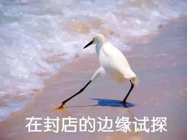 东山再起！仅用短短5个月，店铺日营业额高达6万美金，他凭啥？