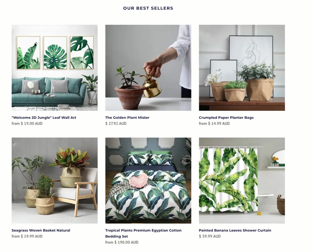 Shopify网站设计