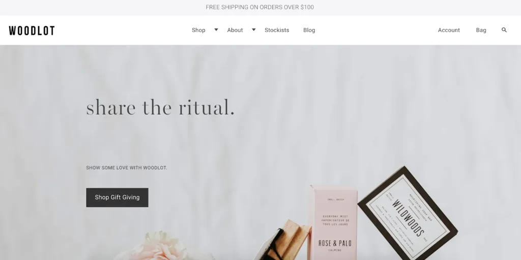 Shopify网站设计