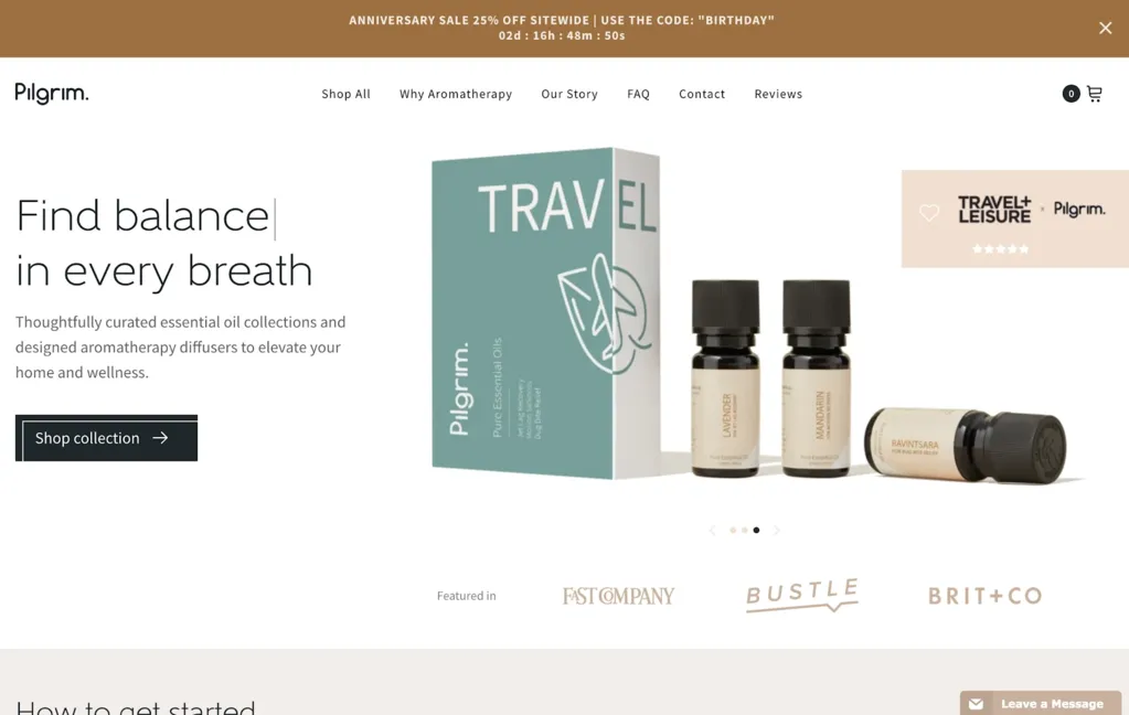 Shopify网站设计