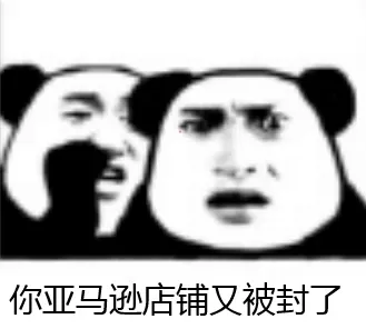 你的亚马逊店铺被封了.png 图片