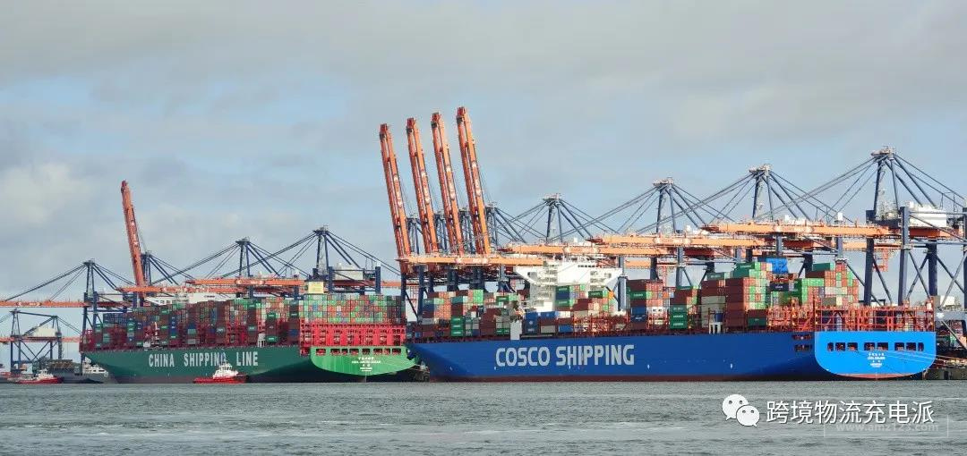 【国际海派】Vin Gor 剖析海运整柜涉及的费用（上篇）：门到港环节