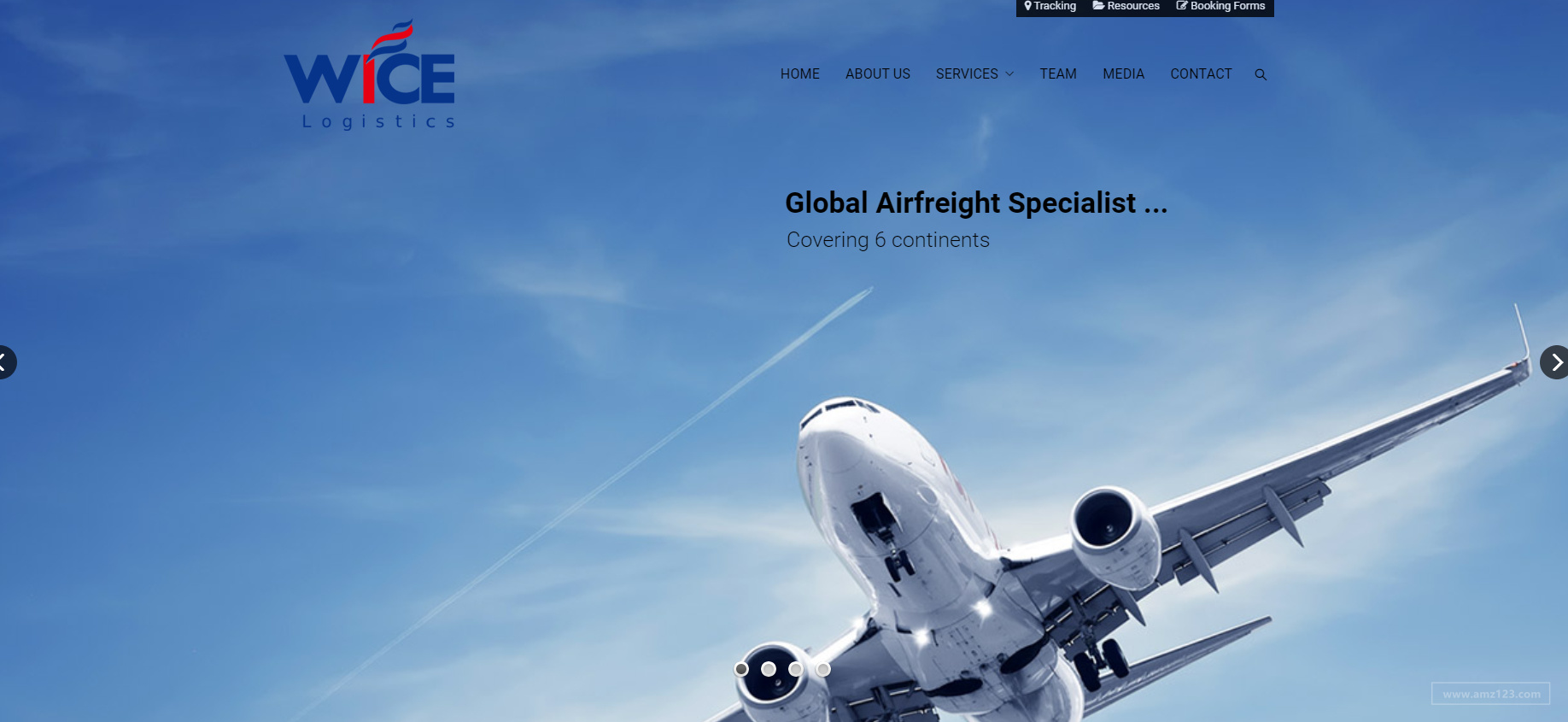 广州赤金国际货运